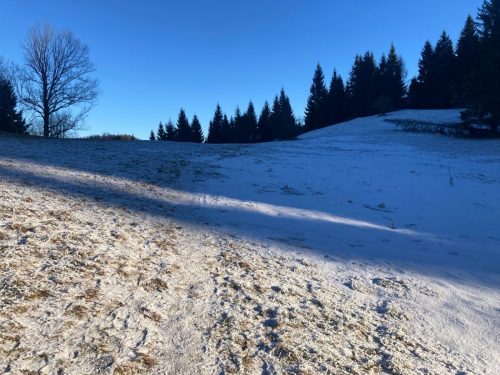 7bae4fbb-d52f-4997-a191-54096718766e