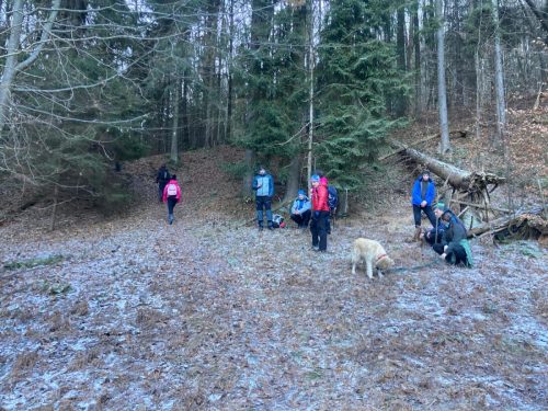 db32bc5f-957d-4429-9a89-491b87e9bc60