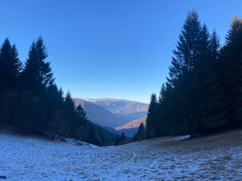 eaeb3fdd-e360-40c2-84aa-2ab4f6219efd