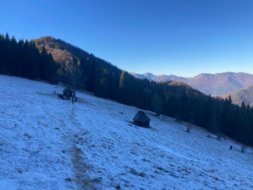 f5e2e036-4598-49da-ae23-89870ddd4edb