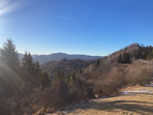 f69a72a4-0e29-4fd1-b2d9-3649015beca0